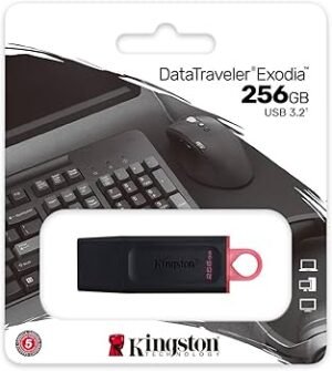 USB 256GB KINGSTON